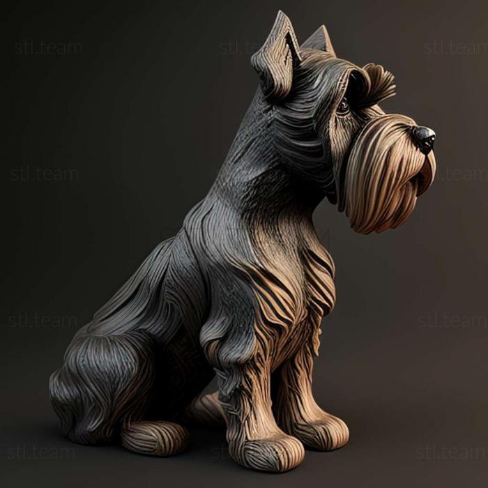 Zwergschnauzer dog